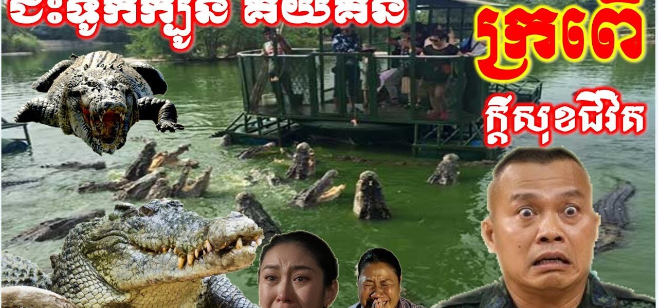 ដំណឹងថ្មីប្លែកៗ ទាន់ចិត្ត ជិះក្បូនគយគន់សត្វក្រពើ ក្តីសុខជីវិត..