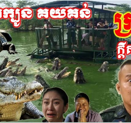 ដំណឹងថ្មីប្លែកៗ ទាន់ចិត្ត ជិះក្បូនគយគន់សត្វក្រពើ ក្តីសុខជីវិត..