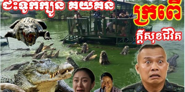 ដំណឹងថ្មីប្លែកៗ ទាន់ចិត្ត ជិះក្បូនគយគន់សត្វក្រពើ ក្តីសុខជីវិត..