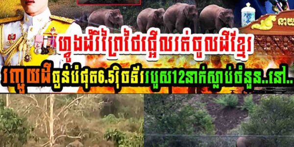 ហ្វូងដំរីព្រៃថៃផ្អើលរត់ចូលដីខ្មែរ រញ្ជួយដីធ្ងន់បំផុត 6.5វុិចទ័រ របួសចំនួន១២នាក់ស្លាប់ចំនួន…..