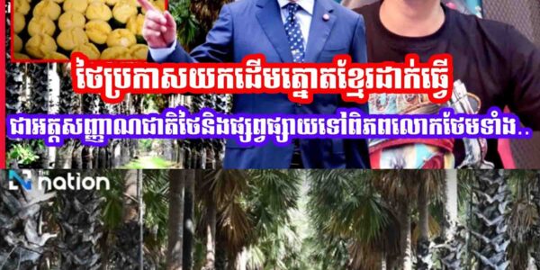 ស៊ែរបន្ទាន់ ពូជចោរសៀមប្រកាសយកត្នោតខ្មែរធ្វើជាអត្តសញ្ញាណជាតិផ្សព្វផ្សាយទៅពិភពលោក…..