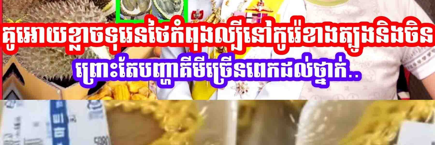 គួរអោយខ្លាចទុរេនថៃកំពុងល្បីនៅកូរ៉េខាងត្បូងនិងទីផ្សារចិនព្រោះតែបញ្ហាគីមីច្រេីនពេកដល់ថ្នាក់…