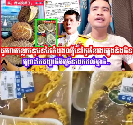 គួរអោយខ្លាចទុរេនថៃកំពុងល្បីនៅកូរ៉េខាងត្បូងនិងទីផ្សារចិនព្រោះតែបញ្ហាគីមីច្រេីនពេកដល់ថ្នាក់…