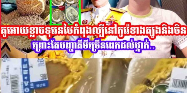 គួរអោយខ្លាចទុរេនថៃកំពុងល្បីនៅកូរ៉េខាងត្បូងនិងទីផ្សារចិនព្រោះតែបញ្ហាគីមីច្រេីនពេកដល់ថ្នាក់…