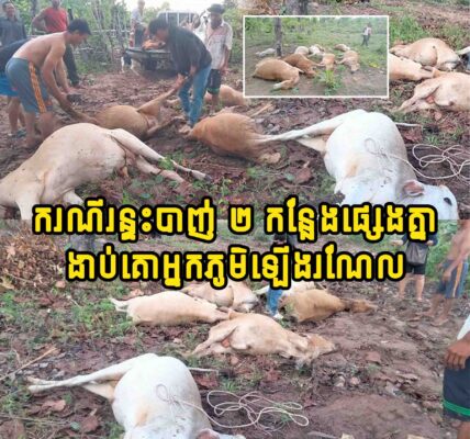 ស្ដាយជំនួស ករណីរ-ន្ទះបា-ញ់ ២ កន្លែងផ្សេងគ្នានៅមណ្ឌលគិរី ត្រូវចំគោអ្នកភូមិ ងា-ប់អស់ចំនួន…