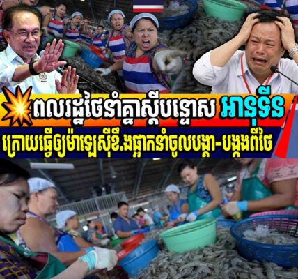💥ពលរដ្ឋថៃនាំគ្នាស្ដីបន្ទោស អានុទីនក្រោយធ្វើឲ្យម៉ាឡេស៊ីខឹ.ងផ្អាកនាំចូលបង្គា-បង្កងពីថៃ