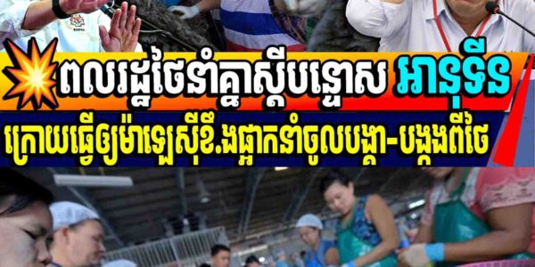 💥ពលរដ្ឋថៃនាំគ្នាស្ដីបន្ទោស អានុទីនក្រោយធ្វើឲ្យម៉ាឡេស៊ីខឹ.ងផ្អាកនាំចូលបង្គា-បង្កងពីថៃ