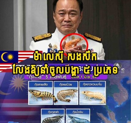 ម៉ាលេសុី សំពងថៃមួយព្រនង់ប្រកាសឈប់ឱ្យនាំបង្គា ៥​ ប្រភេទចូលប្រទេស ដើម្បីសងសឹករឿងនេះ…..