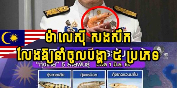 ម៉ាលេសុី សំពងថៃមួយព្រនង់ប្រកាសឈប់ឱ្យនាំបង្គា ៥​ ប្រភេទចូលប្រទេស ដើម្បីសងសឹករឿងនេះ…..